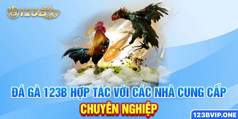 Đá gà 123B hợp tác với các nhà cung cấp chuyên nghiệp