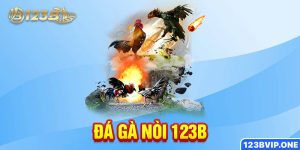 Đá gà nòi 123B