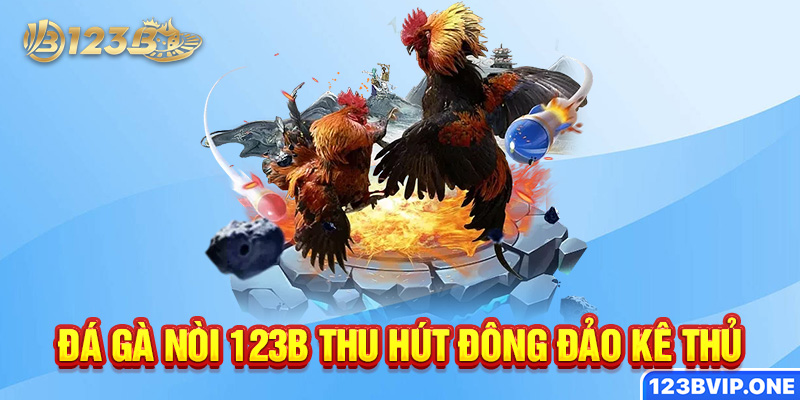 Đá gà nòi 123B thu hút đông đảo kê thủ