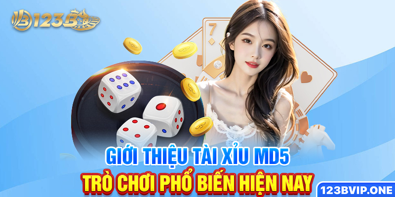 Giới thiệu tài xỉu MD5 - Trò chơi phổ biến hiện nay