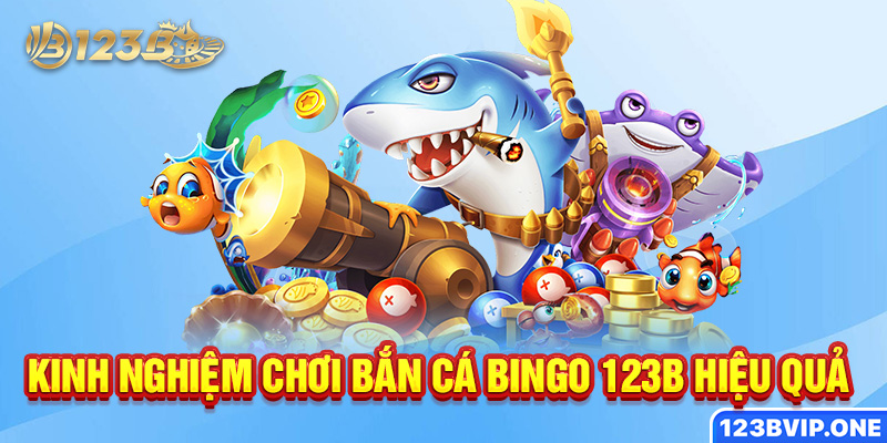 Kinh nghiệm chơi bắn cá Bingo 123B hiệu quả