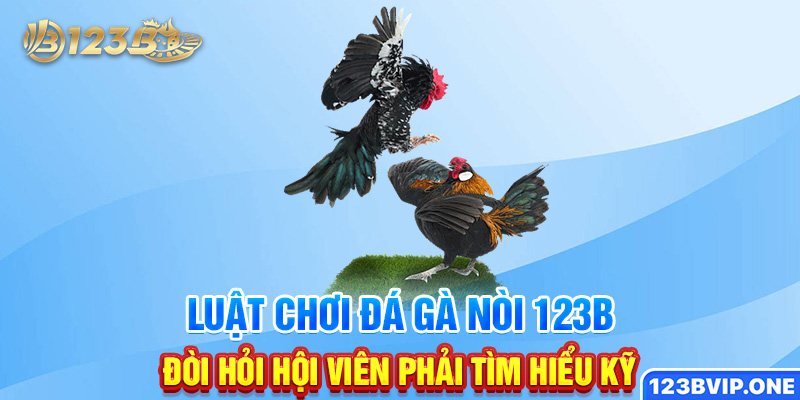 Luật chơi đá gà nòi 123B đòi hỏi hội viên phải tìm hiểu kỹ