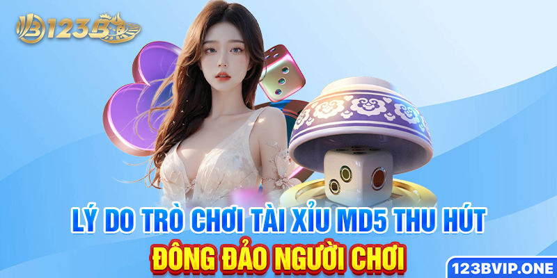 Lý do trò chơi tài xỉu MD5 thu hút đông đảo người chơi