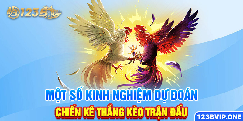 Một số kinh nghiệm dự đoán chiên kê thắng kèo trận đấu