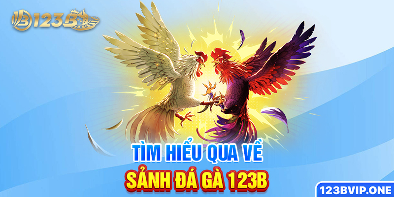 Tìm hiểu qua về sảnh đá gà 123B